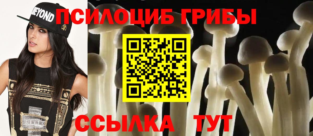 Галлюциногенные грибы MAGIC MUSHROOMS  Вход с VPN  Усолье-Сибирское 